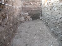 Chronicle of the Archaeological Excavations in Romania, 2009 Campaign. Report no. 27, Hârşova, La Cetate<br /><a href='http://foto.cimec.ro/cronica/2009/sistematice\027/15-HARSOVA-S-II-Pavajul-dintre-turnuri.jpg' target=_blank>Display the same picture in a new window</a>